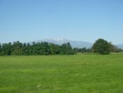 2009-05-27-017-Snowy-Peaks