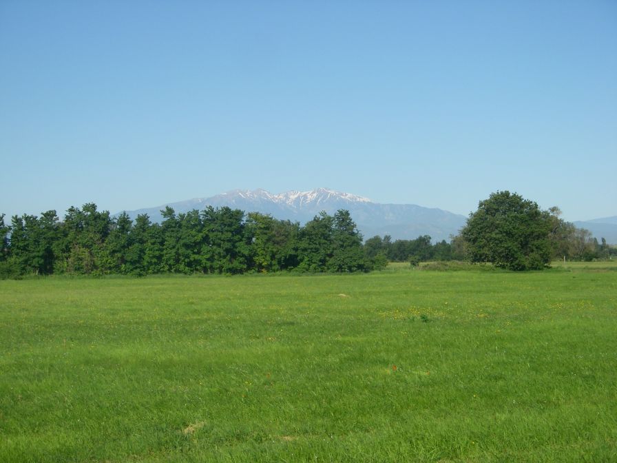 2009-05-27-017-Snowy-Peaks