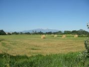 2009-05-27-022-Snowy-Peaks