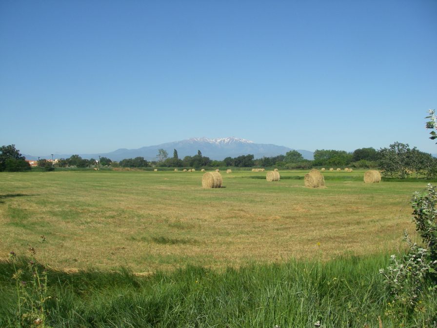 2009-05-27-022-Snowy-Peaks
