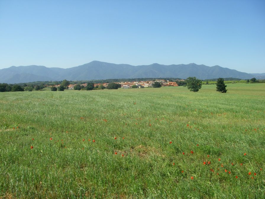 2009-05-27-028-Rural-View