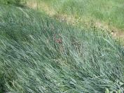 2009-05-27-031-Unknown
