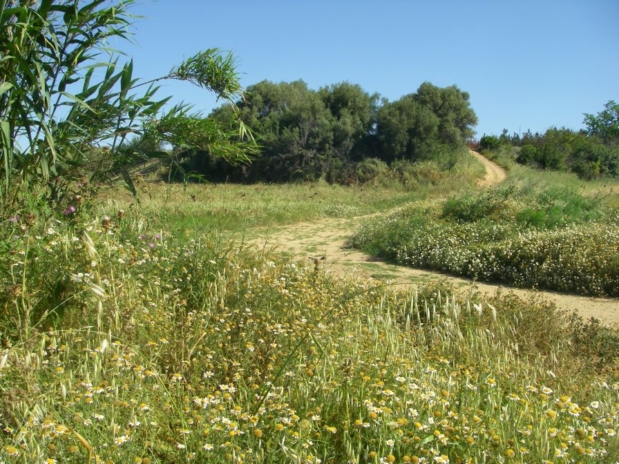 2009-05-27-038-Our-Route