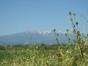 2009-05-27-040-Snowy-Peaks