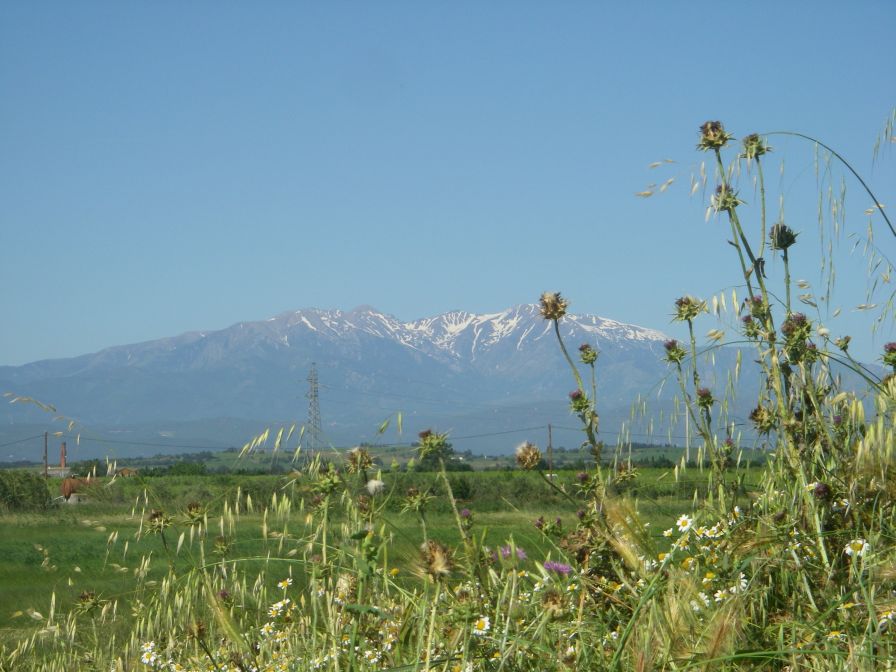 2009-05-27-040-Snowy-Peaks