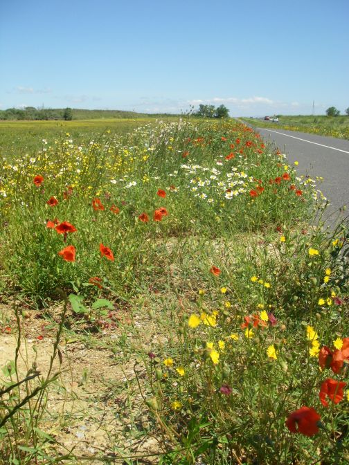 2009-05-27-053-Our-Route-and-Cycle-Path