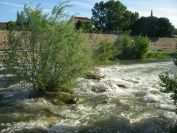 2009-05-28-008-River-at-Perpignan