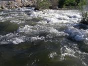 2009-05-28-009-River-at-Perpignan