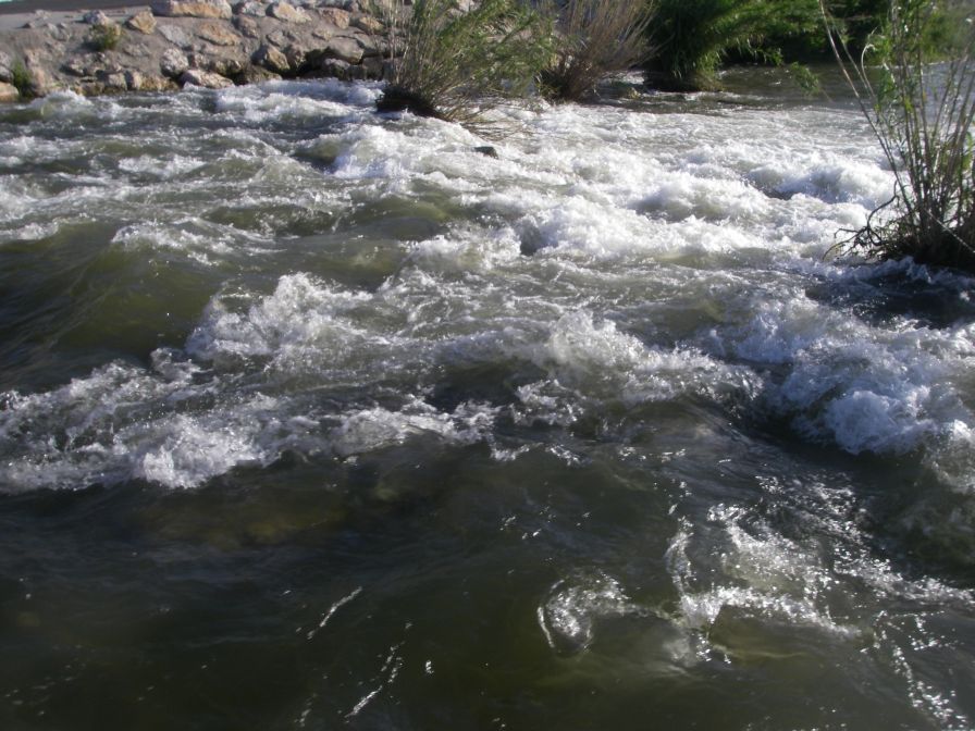 2009-05-28-009-River-at-Perpignan