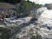 2009-05-28-011-River-at-Perpignan