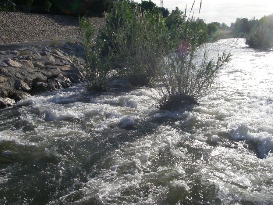 2009-05-28-011-River-at-Perpignan