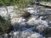2009-05-28-012-River-at-Perpignan