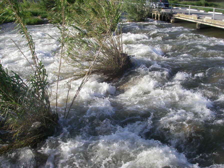 2009-05-28-012-River-at-Perpignan