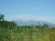 2009-05-28-019-Snowy-Peaks