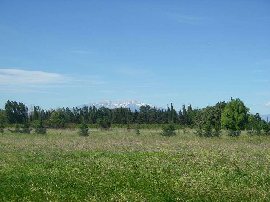 2009-05-28-024-Snowy-Peaks