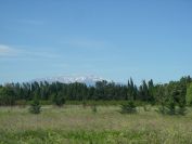 2009-05-28-025-Snowy-Peaks