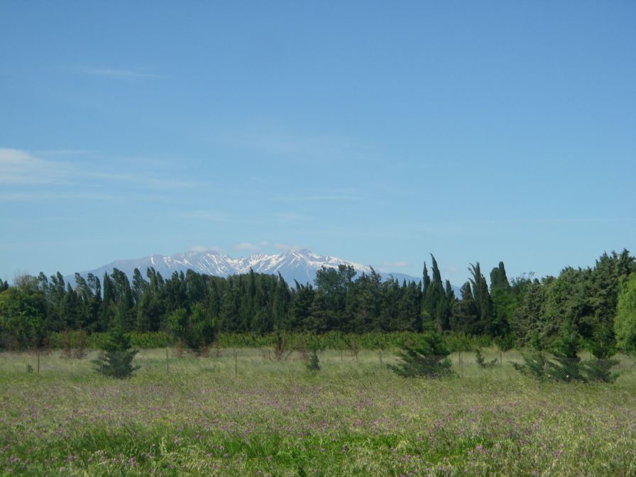 2009-05-28-025-Snowy-Peaks