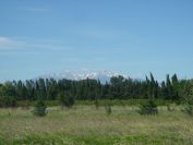 2009-05-28-026-Snowy-Peaks