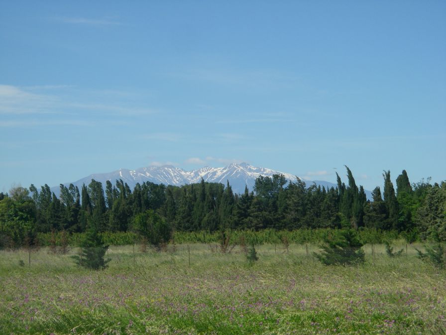 2009-05-28-026-Snowy-Peaks