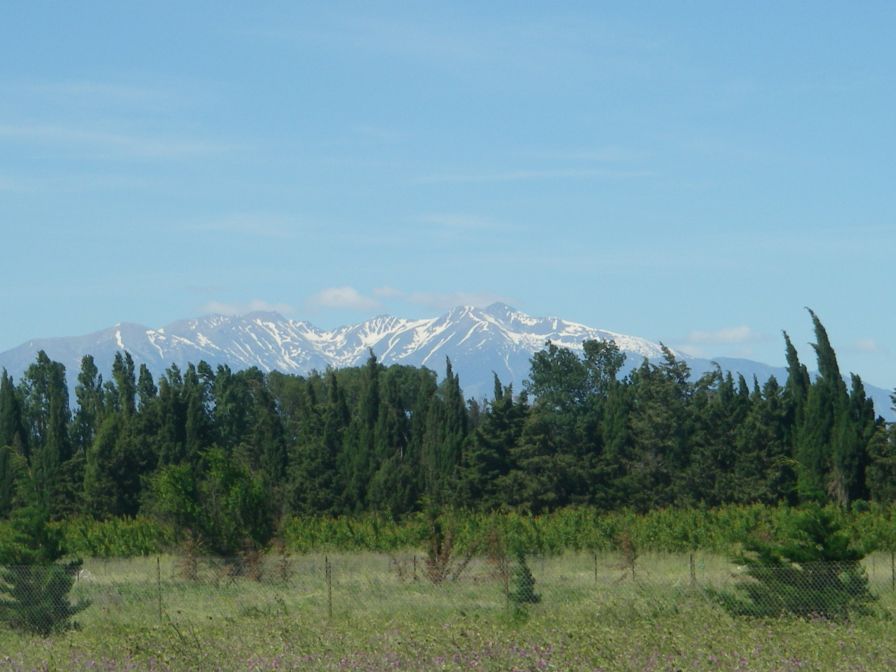 2009-05-28-027-Snowy-Peaks