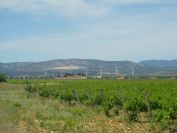2009-05-28-043-Wind-Farm