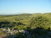 2009-05-29-032-Snowy-peak