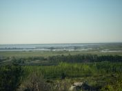 2009-05-29-035-Etang