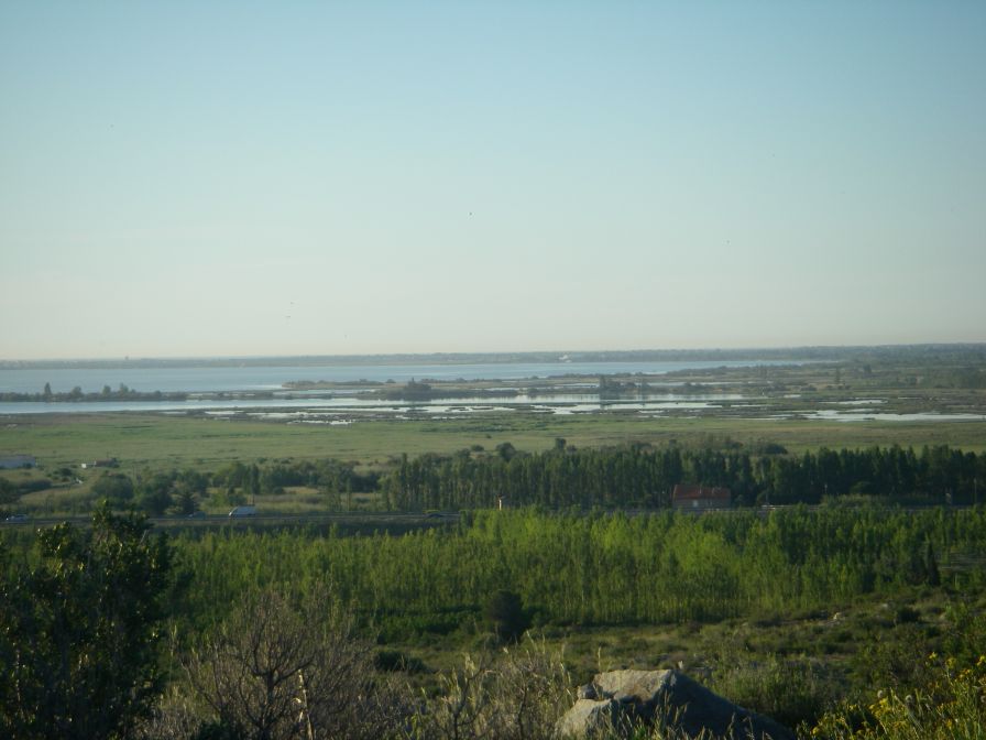 2009-05-29-035-Etang