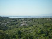 2009-05-29-039-Etang