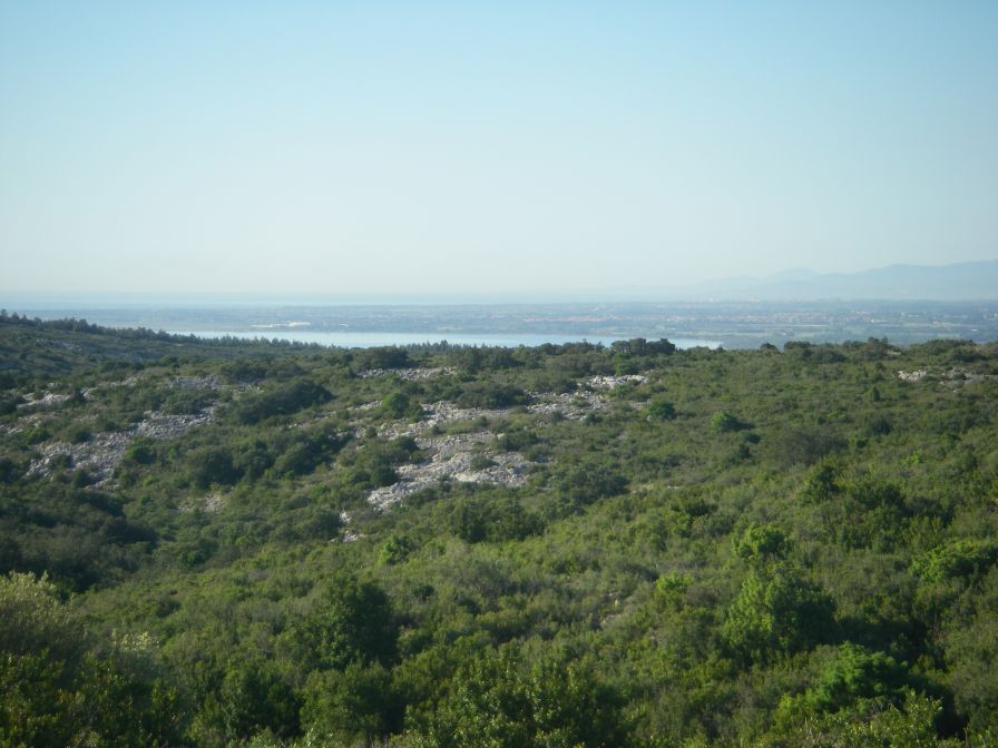 2009-05-29-039-Etang