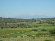 2009-05-29-053-Snowy-Peaks