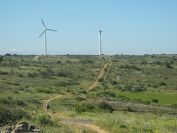 2009-05-29-054-Wind-Farm