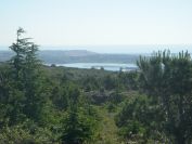 2009-05-29-056-Etang-and-Sea