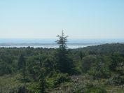 2009-05-29-057-Etang-and-Sea