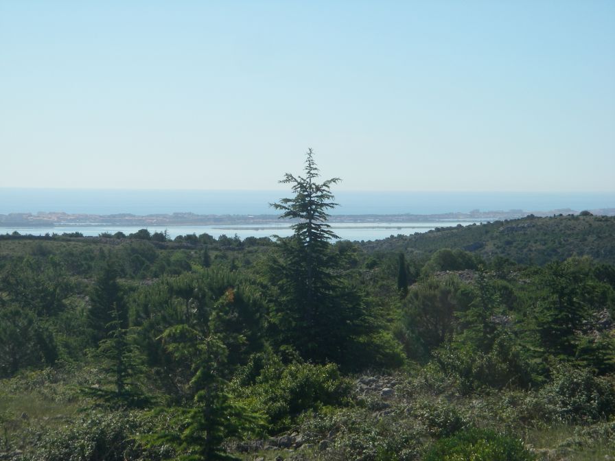 2009-05-29-057-Etang-and-Sea