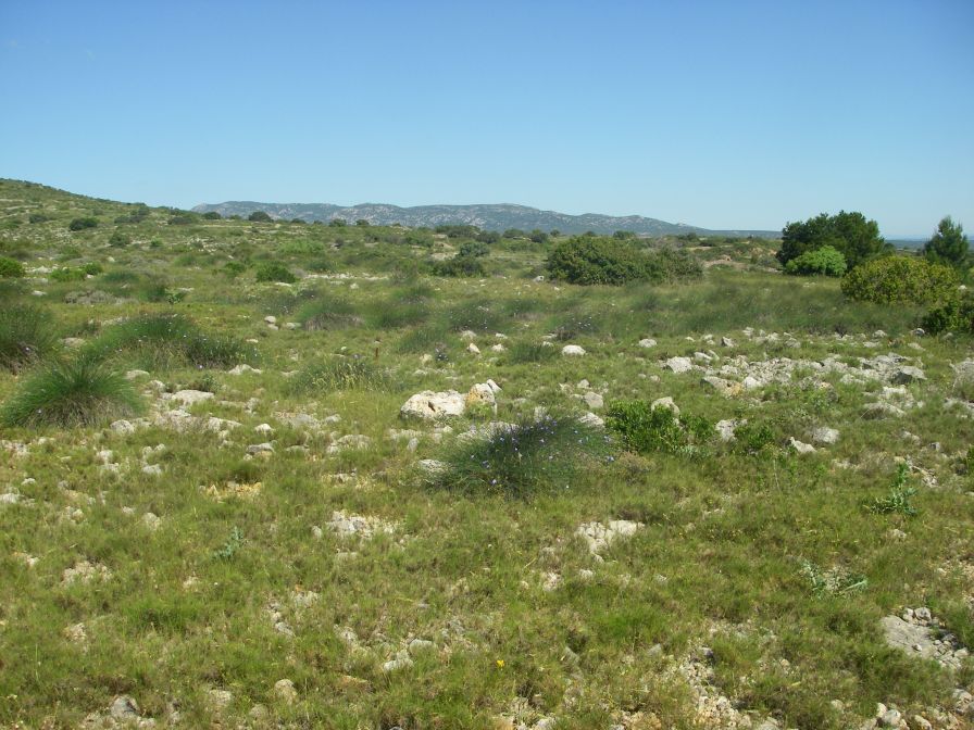 2009-05-29-073-Habitat