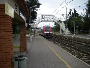 2010-10-24-003-Leucate-La-Franqui