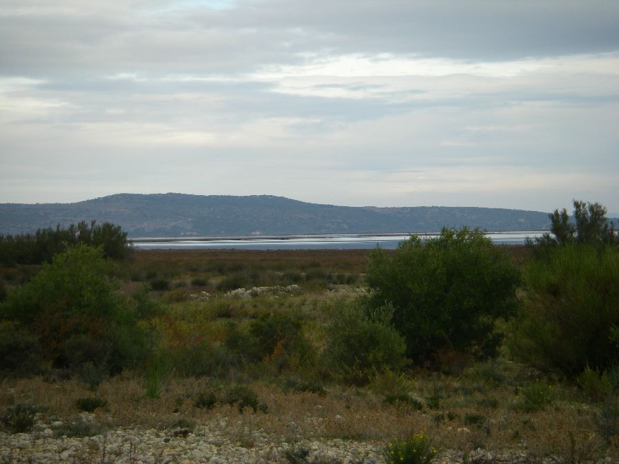 2010-10-24-005-Salins