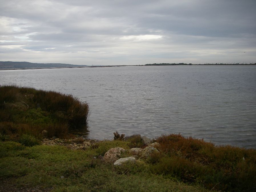 2010-10-24-009-Salins