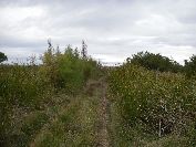 2010-10-24-010-The-Path