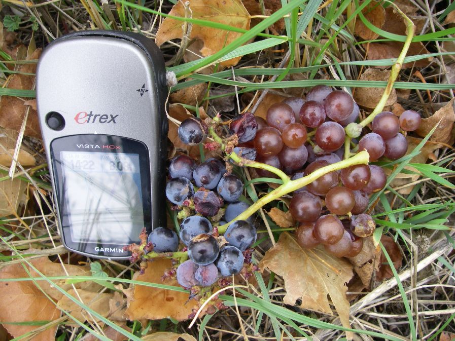 2010-10-24-021-Scrumping