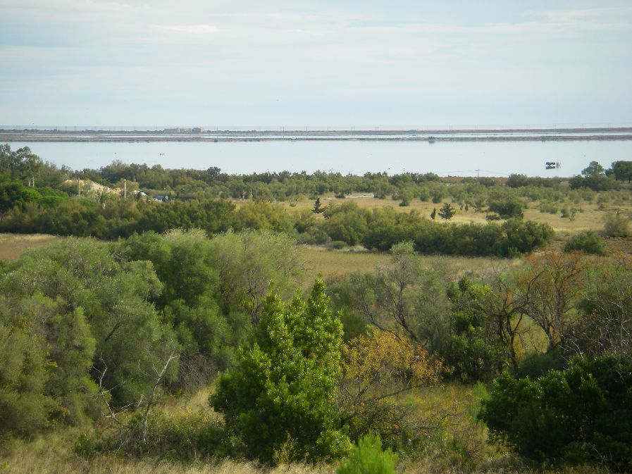 2010-10-24-026-Salins