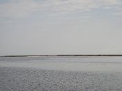 2010-10-24-029-Salins