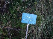 2010-10-25-010-Sainte-Lucie-Protected-Site