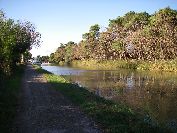 2010-10-25-019-Canal-de-la-Robine
