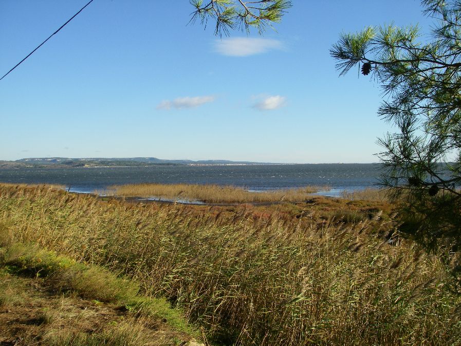 2010-10-25-020-Etang