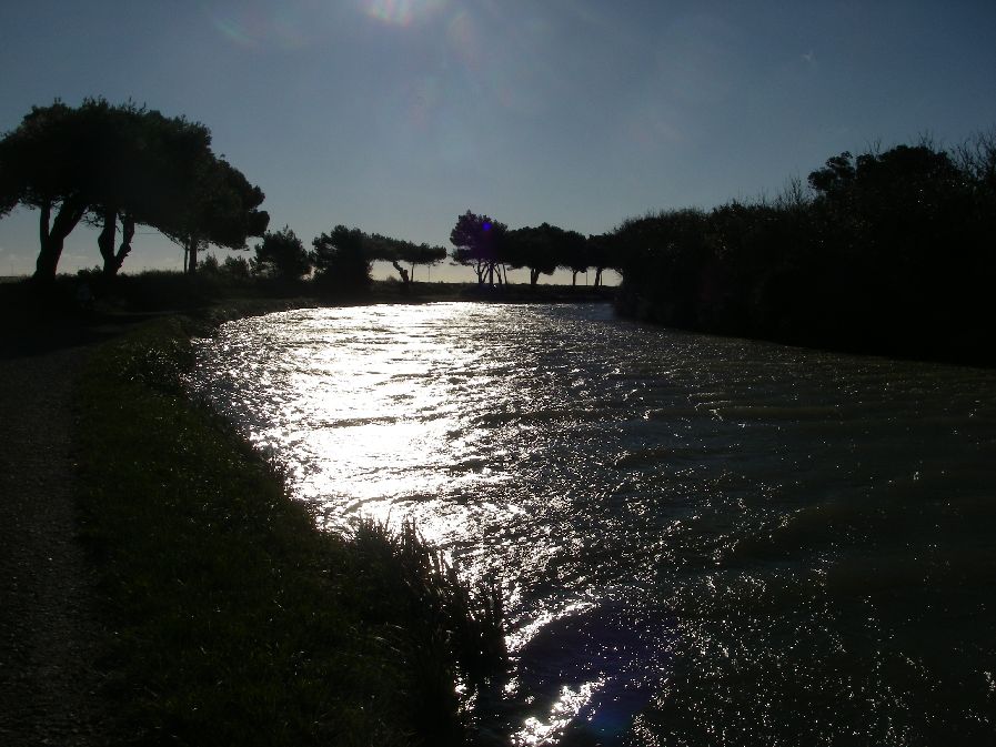 2010-10-25-022-Canal-de-la-Robine-Arty
