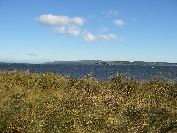 2010-10-25-028-Etang