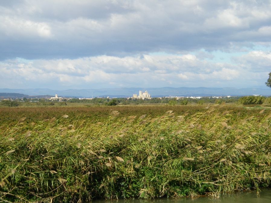2010-10-25-038-Narbonne