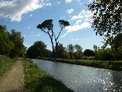 2010-10-25-043-Canal-de-la-Robine-Pines